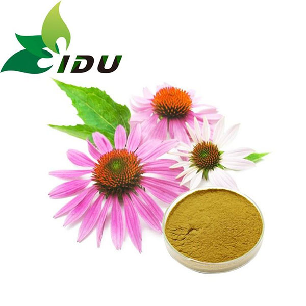 Echinacea Purpurea Extract