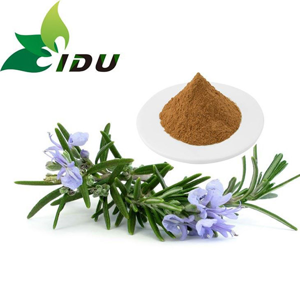 Rosemary Extract