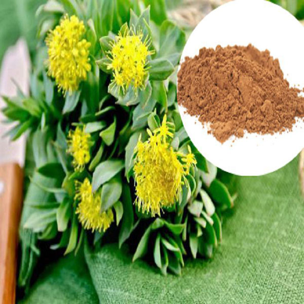 Rhodiola Extract