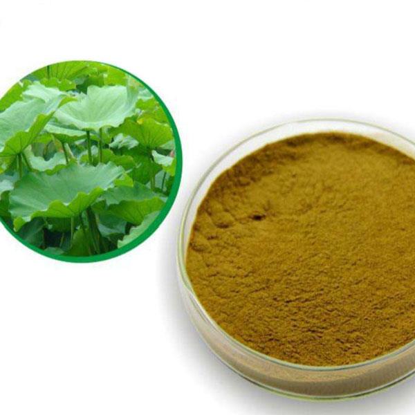 Lotus Leaf Extract