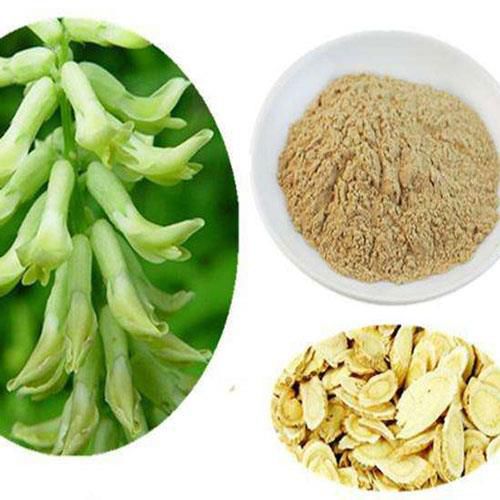 Astragalus Extract