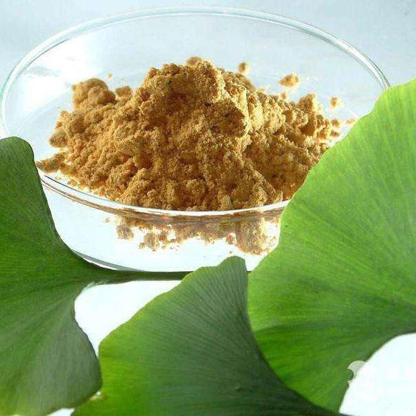 Ginkgo Biloba Extract