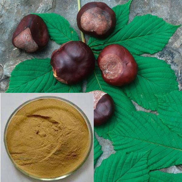 Horse Chestnut Extract