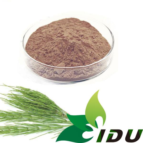 Horsetail Extract