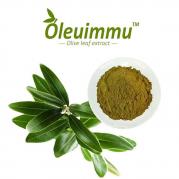 Oleuimmu